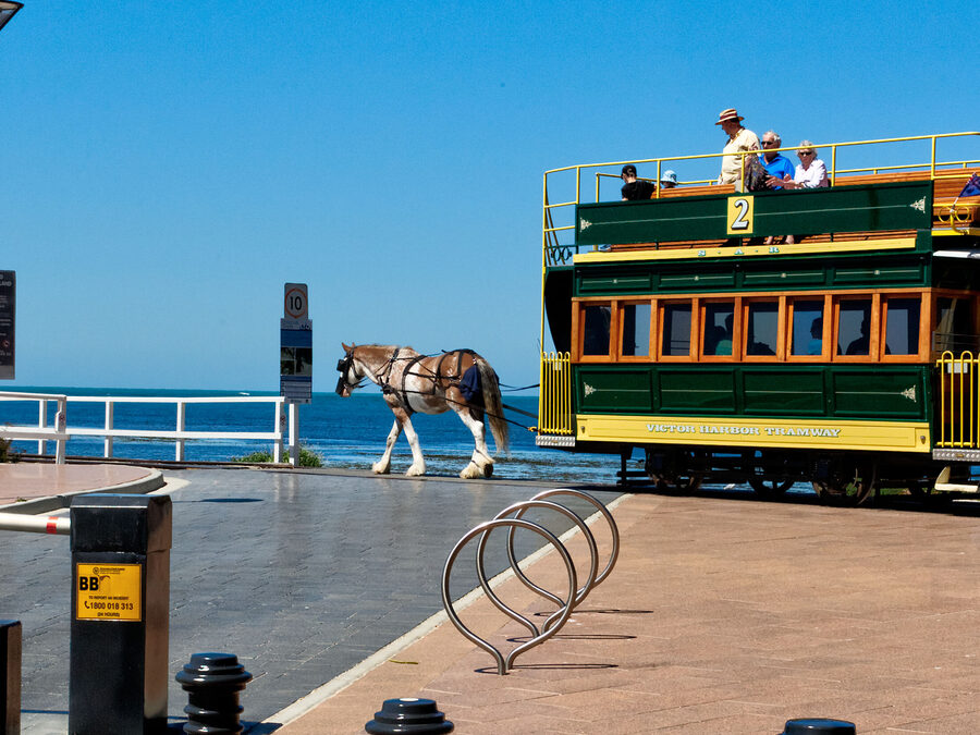 The horse-drawn tram on the causeway to Granite Island, Victor Harbor